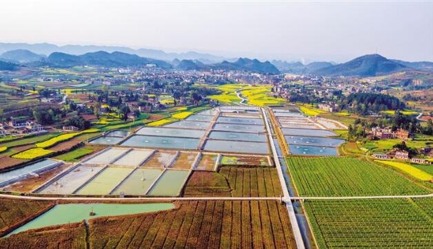 河北省政府出臺《關于做大做強農業產業化龍頭企業的意見》，提出河北省農業產業化發展目標