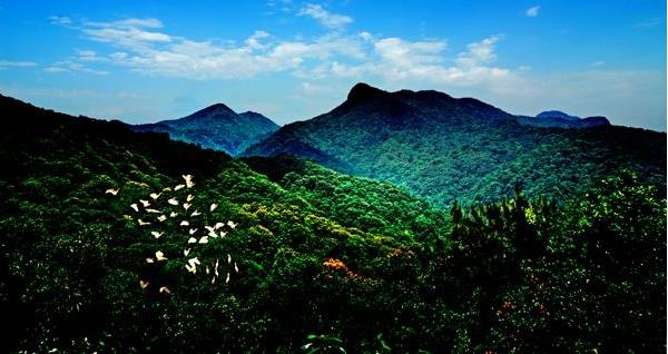 花都區出臺“白金十條”促進旅游產業發展，最大一項政策獎勵達2000萬元???