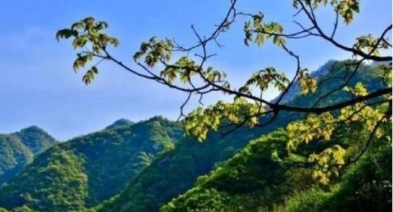 陜西省政府：印發《秦嶺生態環境保護行動方案》，持之以恒有效保護秦嶺這一國家重要生態安全屏障