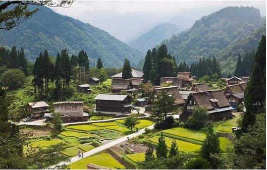 國務院：推動貧困地區產品和服務融入全國大市場，助力打贏脫貧攻堅戰、推進實施鄉村振興戰略?