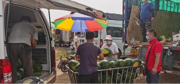 探訪新發地：臨時區蔬菜交易量穩步上升