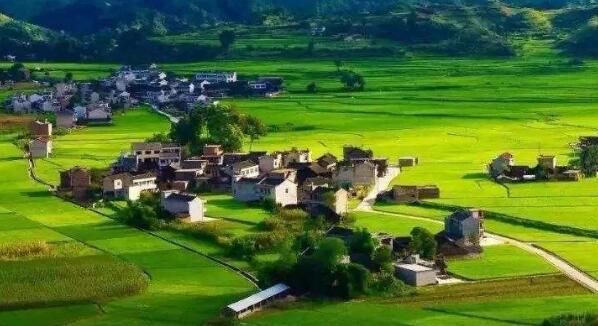 去年全國鄉村旅游總人次為30.9億人次，同比增加9.7%