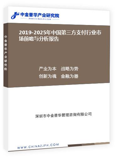 2019-2025年中國第三方支付行業市場前瞻與分析報告