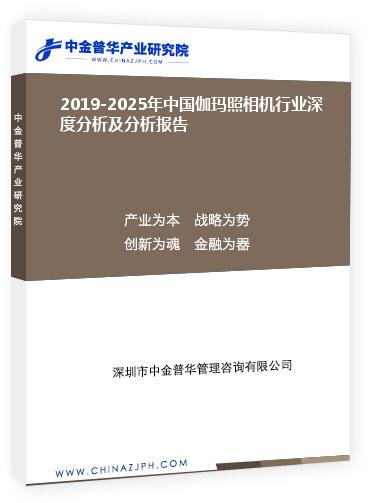 2019-2025年中國伽瑪照相機行業深度分析及分析報告