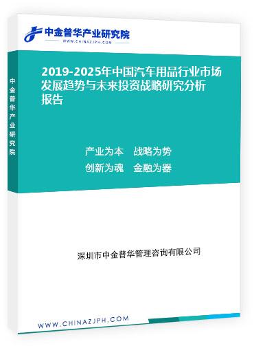 2019-2025年中國汽車用品行業市場發展趨勢與未來投資戰略研究分析報告