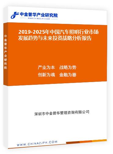2019-2025年中國汽車照明行業市場發展趨勢與未來投資戰略分析報告