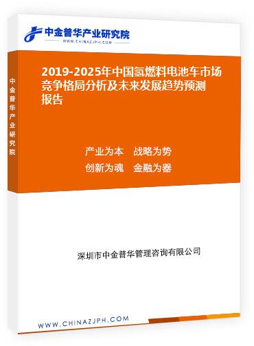2019-2025年中國氫燃料電池車市場競爭格局分析及未來發展趨勢預測報告