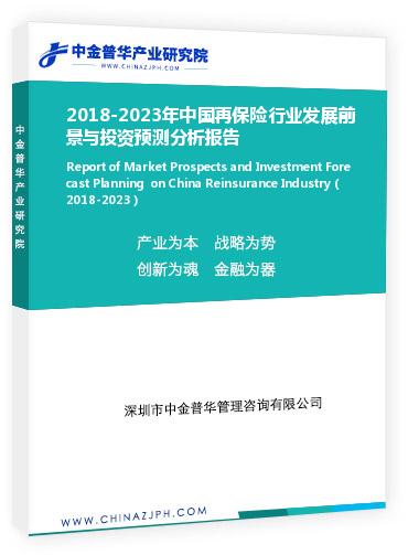 2018-2023年中國再保險行業發展前景與投資預測分析報告