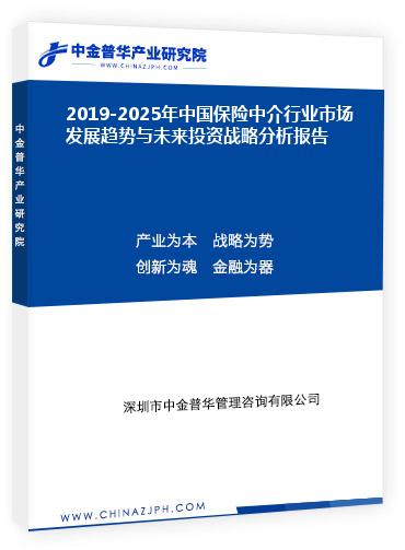 2019-2025年中國保險中介行業市場發展趨勢與未來投資戰略分析報告