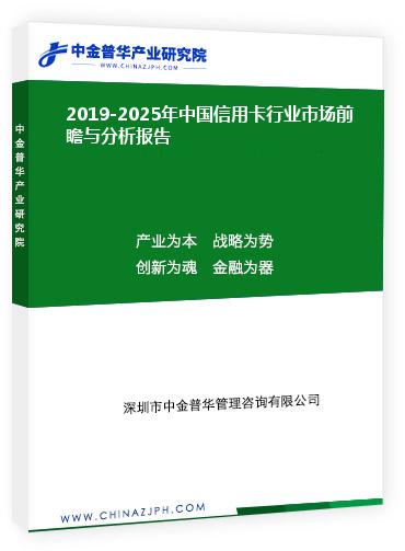 2019-2025年中國信用卡行業市場前瞻與分析報告
