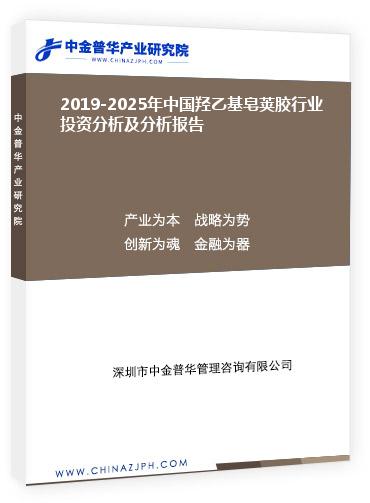 2019-2025年中國羥乙基皂莢膠行業投資分析及分析報告