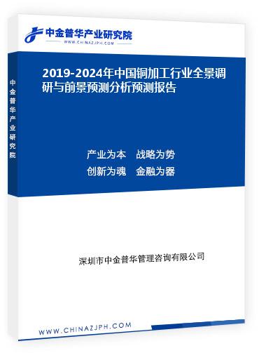 2019-2024年中國銅加工行業全景調研與前景預測分析預測報告