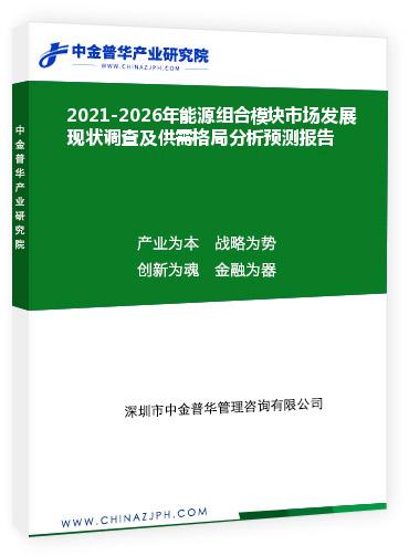 2021-2026年能源組合模塊市場發展現狀調查及供需格局分析預測報告
