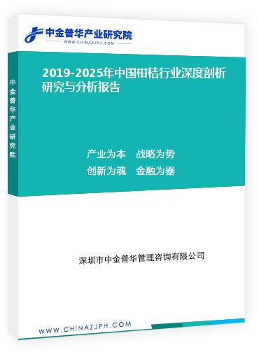 2019-2025年中國柑桔行業深度剖析研究與分析報告