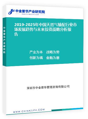 2019-2025年中國天然氣輸配行業市場發展趨勢與未來投資戰略分析報告