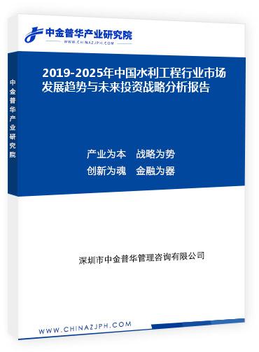 2019-2025年中國水利工程行業市場發展趨勢與未來投資戰略分析報告