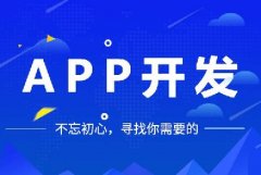 開(kāi)發(fā)一個(gè)app多少錢？